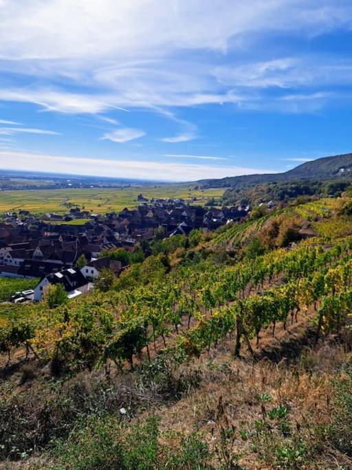 Entre Vignes Et Vergers Gite Parenthese Gueberschwihr Extérieur photo