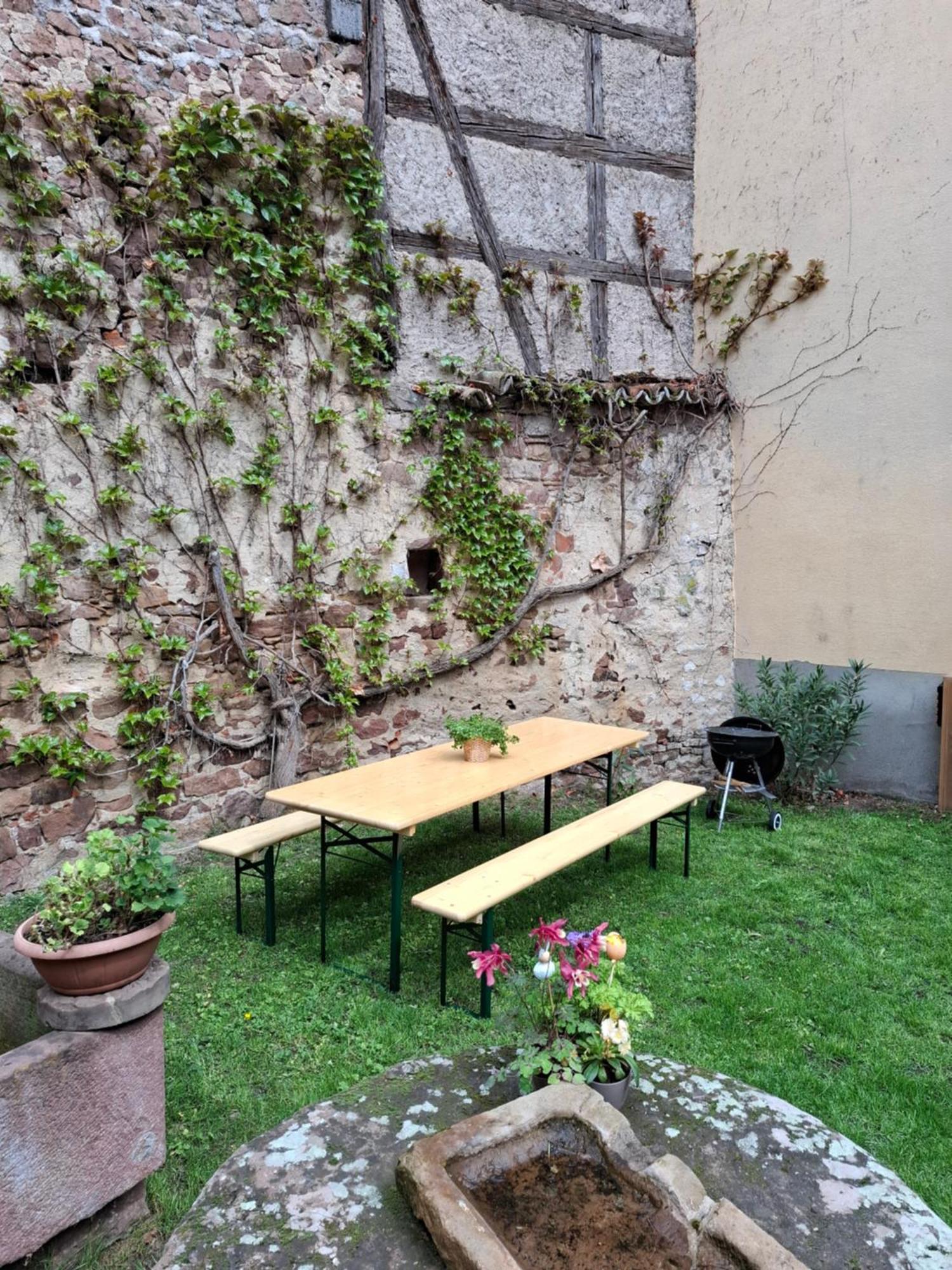 Entre Vignes Et Vergers Gite Parenthese Gueberschwihr Extérieur photo